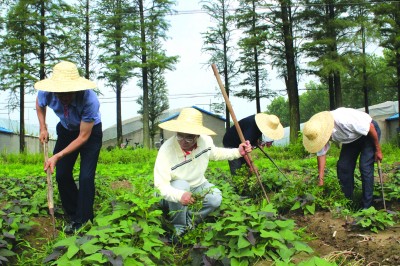 连云港市委书记到赣榆驻点调研 走农家干农活