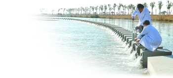 盐城制订水污染防治方案 持续改善水环境质量