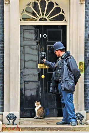 卡梅伦下岗 首相猫拉里属公务员编制将留任