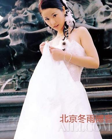 范冰冰婚纱_范冰冰婚纱照(3)