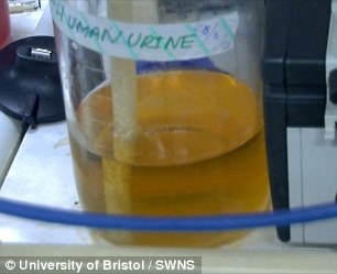 英发明尿液电池 半升尿液可为智能机充电3小