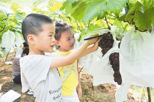 玉林旅游收入_春节长假玉林全市旅游收入48998.79万元图