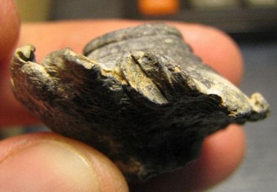 比中彩票难百倍:警察将子弹射入嫌犯枪管内