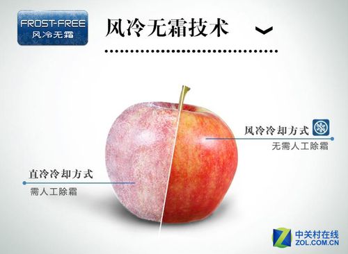 风冷无霜技术 免去除霜烦恼