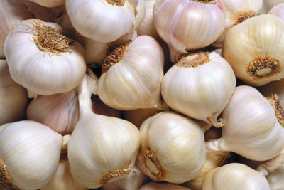 大蒜的5大养生价值 怎么吃大蒜最有效果