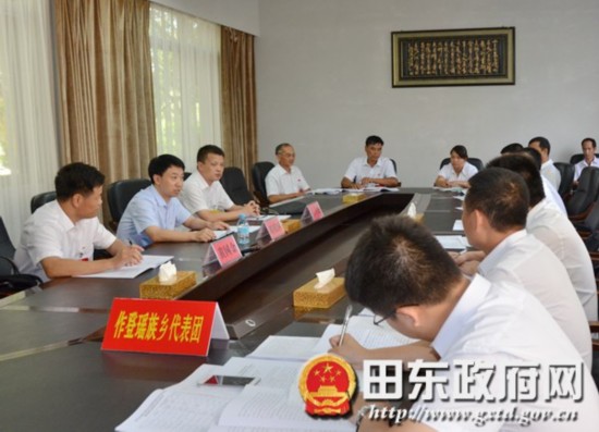 刘明国参加乡镇代表团讨论两委工作报告