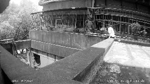 只因发现男友给前任空间留言 女子跳楼闹轻生