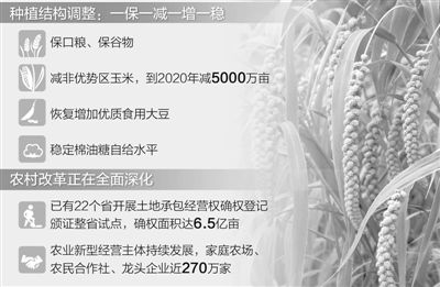 颈椎神经支配分布图_农村住户可支配收入