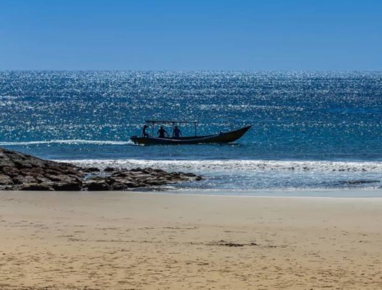 杨幂刘诗诗林心如 为啥女明星都在巴厘岛扎推