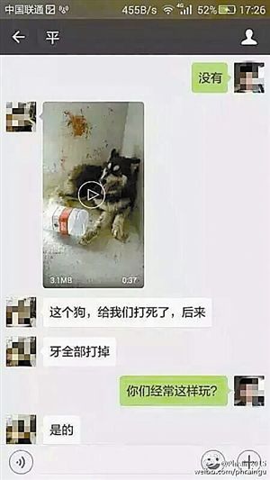 男子发血腥虐狗视频称好玩 律师:无对应处罚机