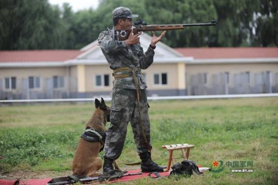 “国际军事竞赛-2016”中国军犬威武出征(组图)