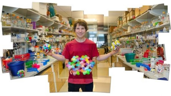 科学家设计出人工蛋白 或带来医学和材料学新