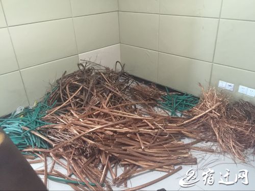 宿迁一家具厂保安监守自盗 高科技探头破案