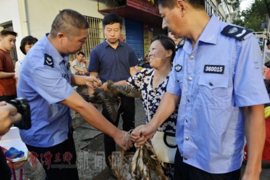 鹰潭联合执法净化市场 杜绝野生动物交易保护绿色家园