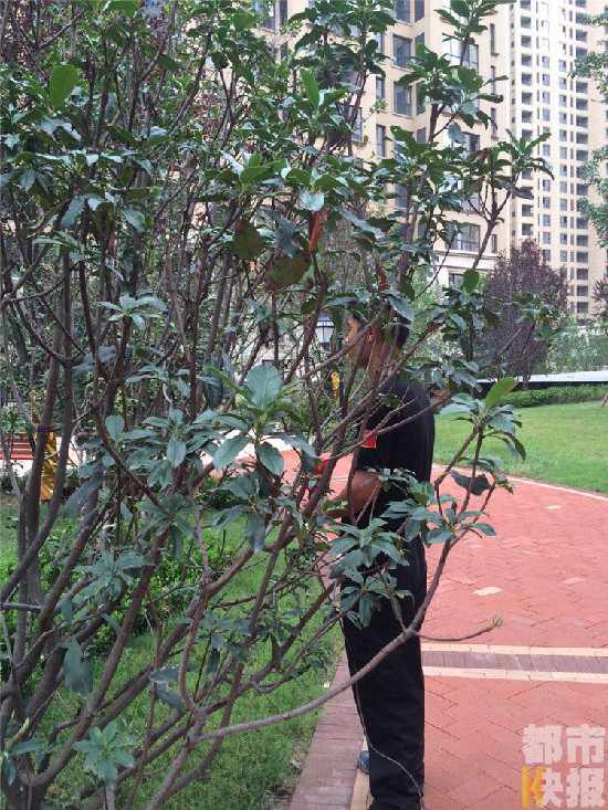 初次体验网上购物 西安小伙被骗一万一