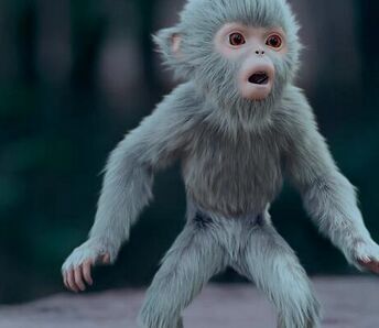 《诛仙青云志》小灰喝了什么水? 三眼灵猴身世