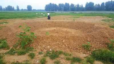探访“巴铁”生产基地：荒草丛生从未开工