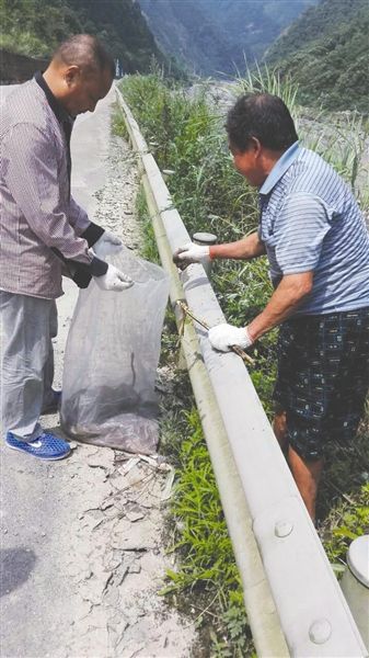 绵阳千佛山遭人放生两车蛇 村民不敢上山采药