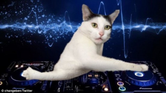 Milk-chan is imagined here performing as a DJ - her paws spinning two CD decks