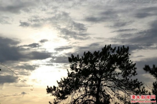 南京溧水区呵护绿水青山 构建宜居环境