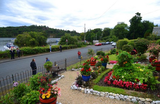 英七旬老人倾心16年打造多彩梦幻花园