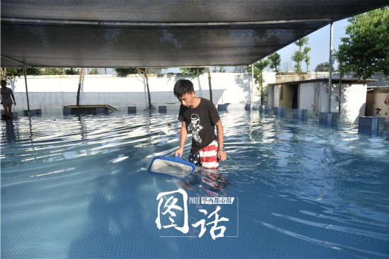实景拍摄:成都宠物游泳馆生意火爆 近百元游一