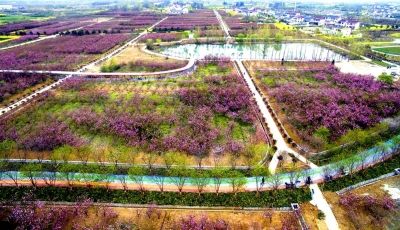 长塘总人口_上虞长塘照片(2)