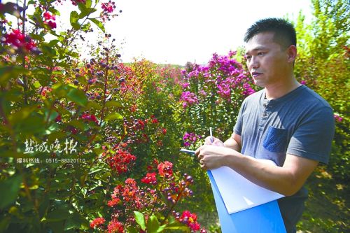 美国三红紫薇在盐城引种成功 花色繁杂