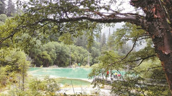 走进九寨沟神仙池:仙女沐浴的地方