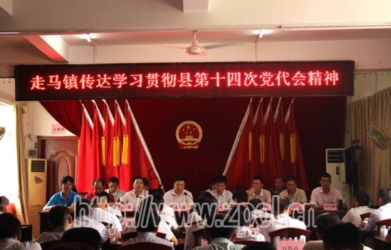 昭平县领导到各联系乡镇指导召开全体干部职工