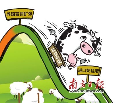 进口奶粉猛增国内乳业过剩 专家建议收储奶粉