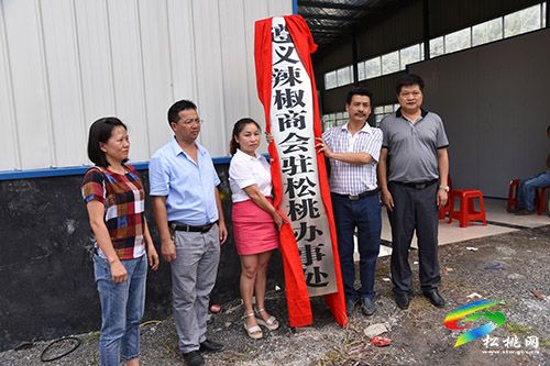 龙昌兴到甘龙调研产业发展情况