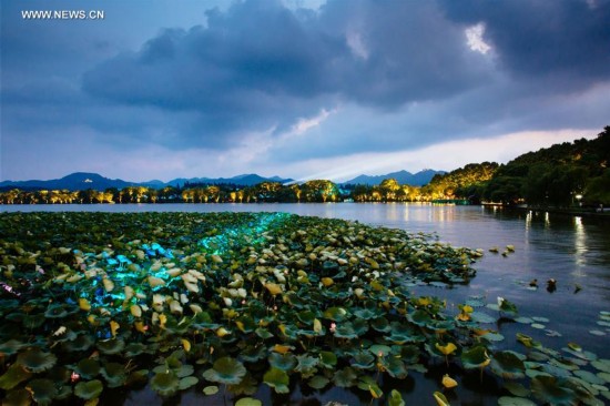 CHINA-HANGZHOU-G20-NIGHT VIEW(CN)