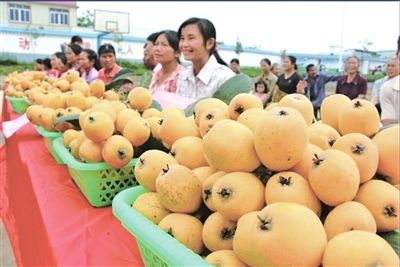 现代格调唱响农业大歌