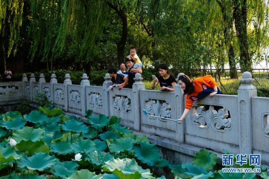 西必赢平台湖掠影：美尽收眼底(图12)