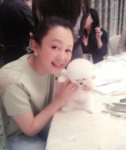 48岁陈红近照曝光 和宠物狗贴脸充满童趣(组图