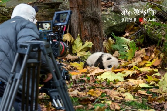 《我们诞生在中国》幕后花絮曝光 揭秘破6000万背后