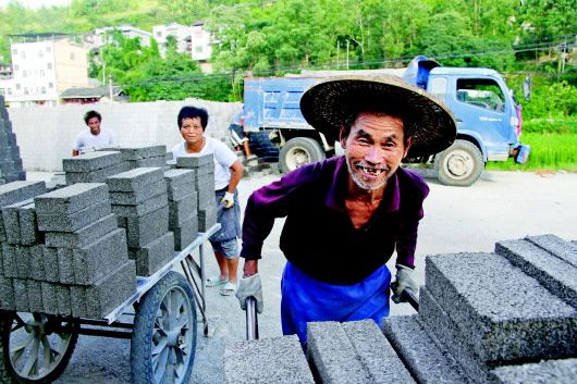 中国集体经济_农村集体经济纯收入