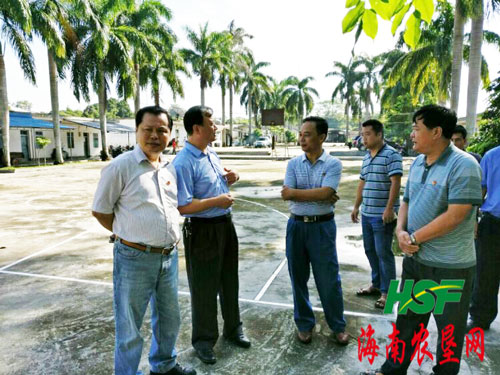 八一转制队土地清理工作取得新突破