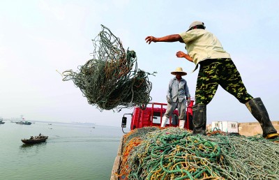 连云港养殖户利用晴好天气 加紧进行紫菜放苗