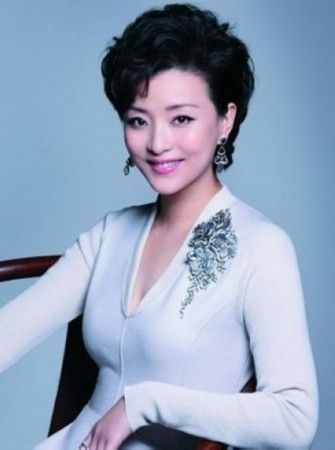 谢娜何炅汪涵王小丫董卿 名主播薪资排行榜