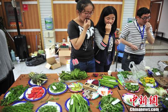 昆明市民植物所吃花吃草吃果 体验舌尖上的植