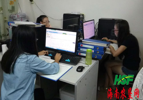 南海农场调整策略 加快推进土地清理工作