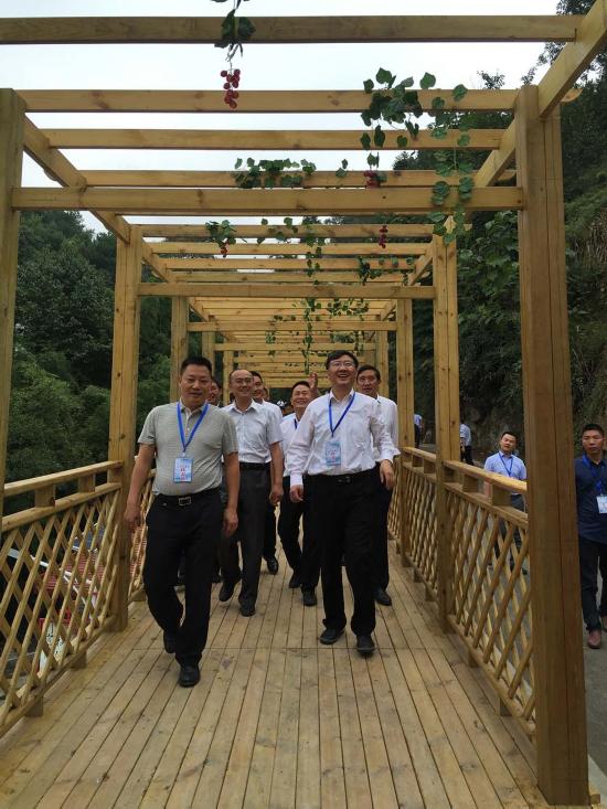 县委书记吴高波,县长冉贤俊,县委常委,组织部部长徐勇,县委常委,县