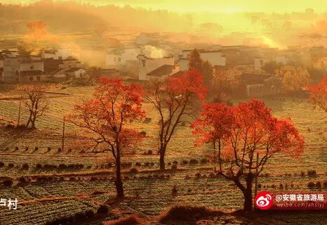 安徽秋天的五个面食,你喜欢哪一个?糕点、颜色的v面食图片