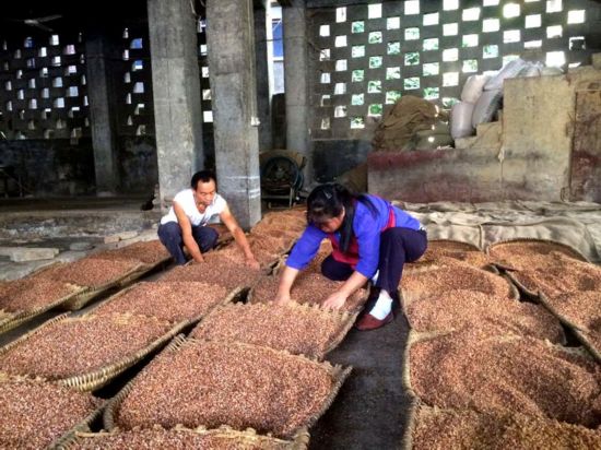 思南:白酒产业崛起 美酒醉香黔东大地