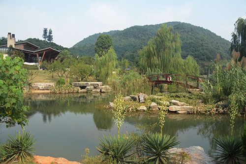 亲生态人口_北京最大梅花鹿养殖场将举办2013年鹿茸采摘节(3)