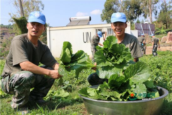刚果(金)维和任务区有个中国半岛(组图)