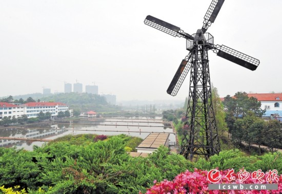 秋季赏花 长沙雨花区两大都市桃花源等你来