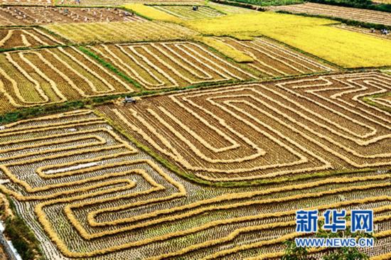 看图猜成语煮沸水农民晒谷_看图猜成语(3)